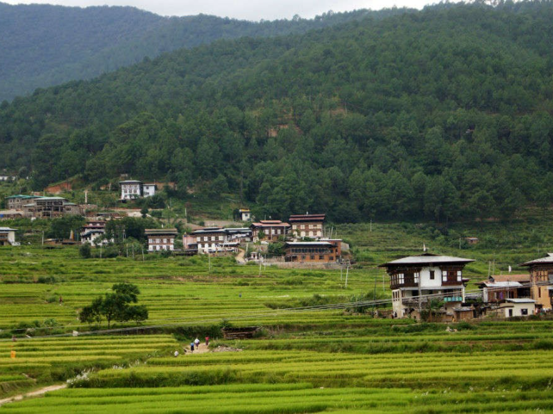 Punakha